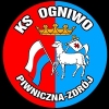 OGNIWO PIWNICZNA 