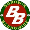 BOROWIK BACHOWICE