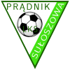  PRĄDNIK SUŁOSZOWA