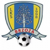 BRZOZA II BRZEZÓWKA