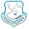 LEDNICZANKA