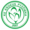 KROKUS PYZÓWKA